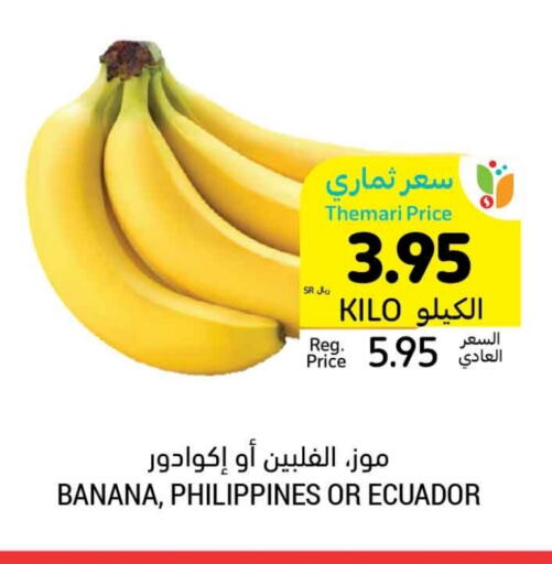 Banana from Philippines Ecuador available at Tamimi Market in KSA, Saudi Arabia, Saudi - Dammam