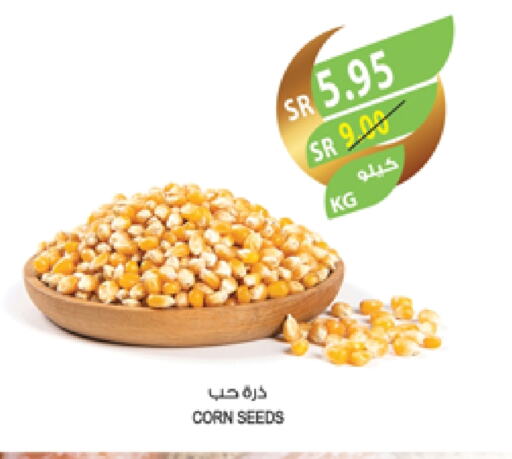 available at المزرعة in مملكة العربية السعودية, السعودية, سعودية - تبوك