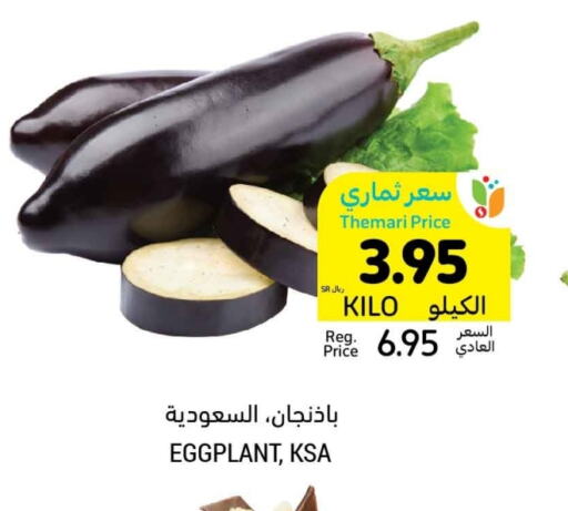 Eggplant available at Tamimi Market in KSA, Saudi Arabia, Saudi - Hafar Al Batin