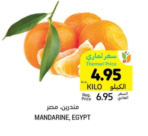 from Egypt available at Tamimi Market in KSA, Saudi Arabia, Saudi - Hafar Al Batin