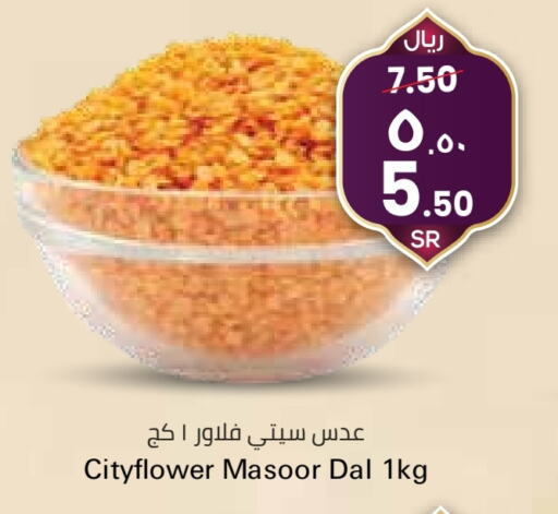 available at City Flower in KSA, Saudi Arabia, Saudi - Hail