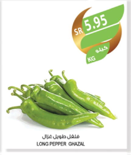 Chilli / Capsicum available at Farm  in KSA, Saudi Arabia, Saudi - Jeddah