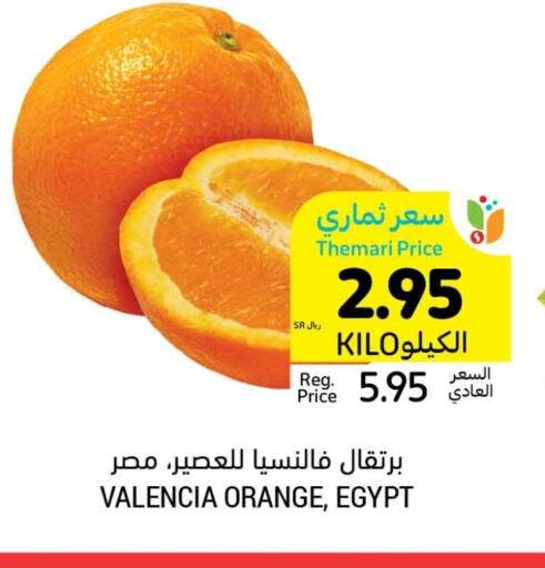 Orange from Egypt available at Tamimi Market in KSA, Saudi Arabia, Saudi - Dammam