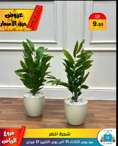 available at الحسين توب أب in مملكة العربية السعودية, السعودية, سعودية - الرياض