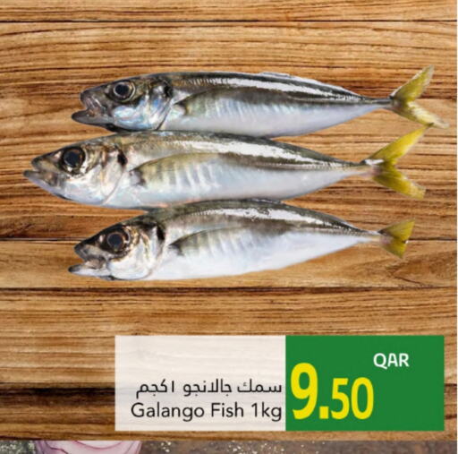 available at Gulf Food Center in Qatar - Doha