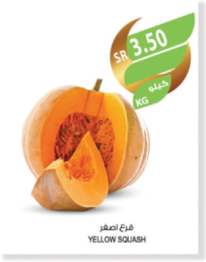 Squash available at Farm  in KSA, Saudi Arabia, Saudi - Jeddah