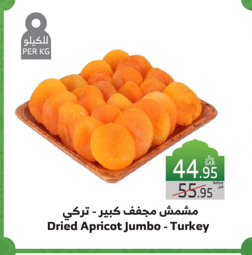 Apricot available at الراية in مملكة العربية السعودية, السعودية, سعودية - تبوك