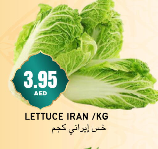 Lettuce from Iran available at Select Market in UAE - Abu Dhabi