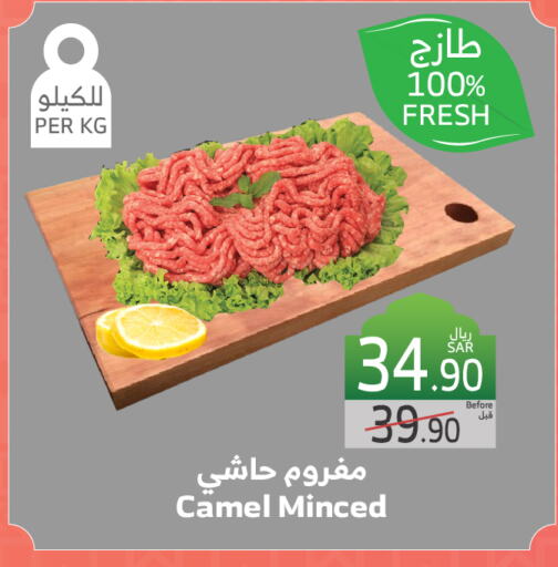 available at الراية in مملكة العربية السعودية, السعودية, سعودية - جدة