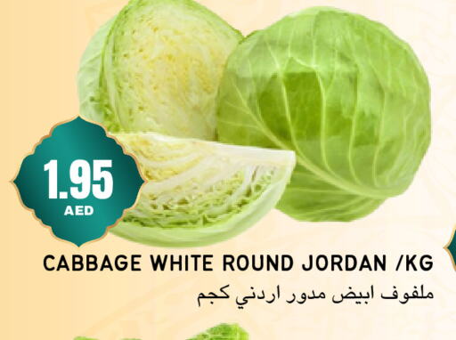 Cabbage from Jordan available at Select Market in UAE - Abu Dhabi