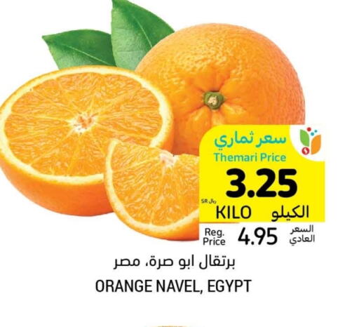 Orange from Egypt available at Tamimi Market in KSA, Saudi Arabia, Saudi - Hafar Al Batin