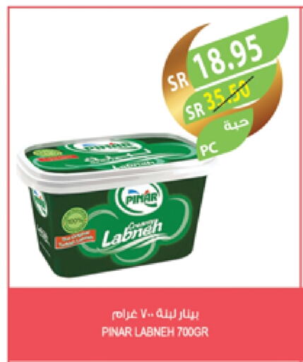 PINAR Labneh available at Farm  in KSA, Saudi Arabia, Saudi - Tabuk