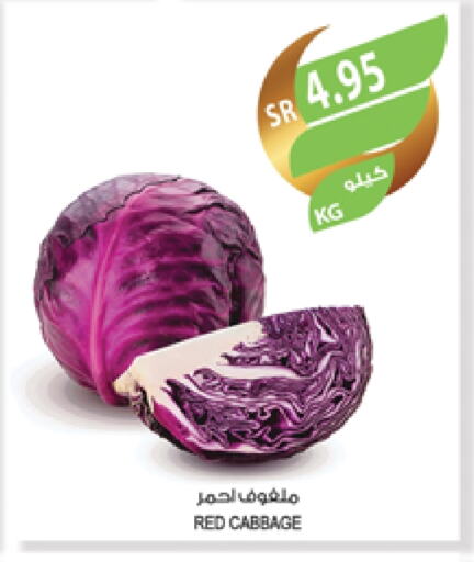 Cabbage available at Farm  in KSA, Saudi Arabia, Saudi - Jeddah