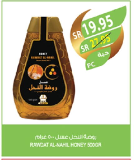 Honey available at Farm  in KSA, Saudi Arabia, Saudi - Abha