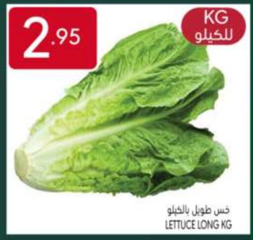 Lettuce available at مانويل ماركت in مملكة العربية السعودية, السعودية, سعودية - الرياض