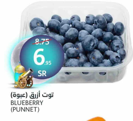 Berries available at AlJazera Shopping Center in KSA, Saudi Arabia, Saudi - Riyadh