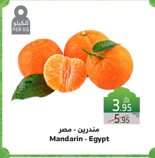 برتقال from Egypt available at الراية in مملكة العربية السعودية, السعودية, سعودية - جدة