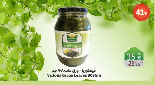 available at Al Raya in KSA, Saudi Arabia, Saudi - Yanbu