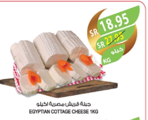 Cottage Cheese available at Farm  in KSA, Saudi Arabia, Saudi - Abha