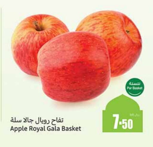 Apples available at Othaim Markets in KSA, Saudi Arabia, Saudi - Dammam