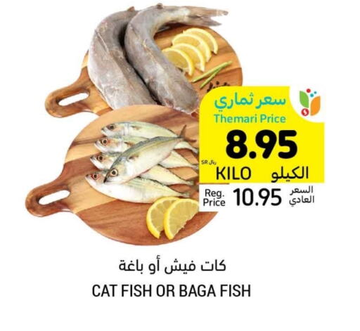 available at Tamimi Market in KSA, Saudi Arabia, Saudi - Hafar Al Batin