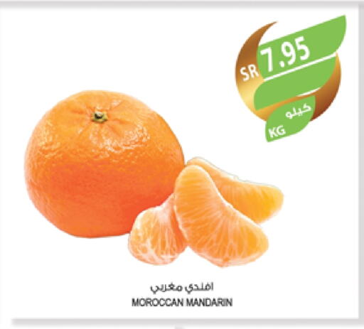 Orange from Morocco available at Farm  in KSA, Saudi Arabia, Saudi - Jubail