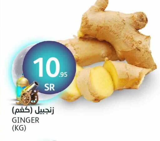 زنجبيل available at مركز الجزيرة للتسوق in مملكة العربية السعودية, السعودية, سعودية - الرياض