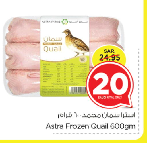 available at Nesto in KSA, Saudi Arabia, Saudi - Jubail