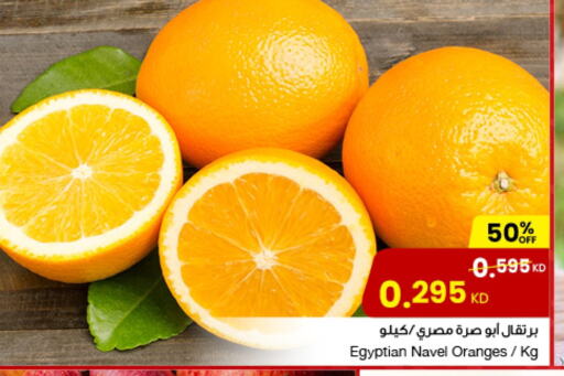 برتقال from Egypt available at مركز سلطان in الكويت - محافظة الجهراء