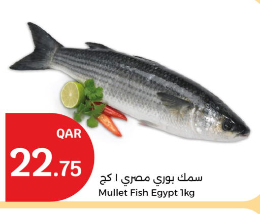 available at City Hypermarket in Qatar - Doha