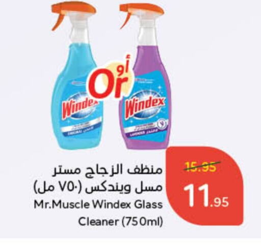 WINDEX Glass Cleaner available at Hyper Panda in KSA, Saudi Arabia, Saudi - Jeddah