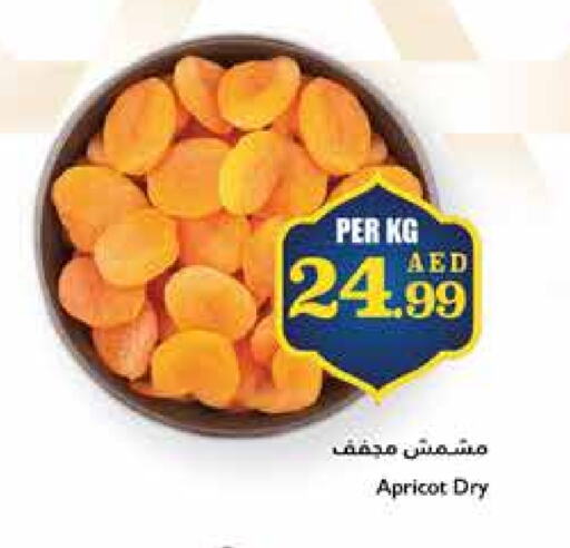 Apricot available at تروليز سوبرماركت in الإمارات العربية المتحدة , الامارات - الشارقة / عجمان