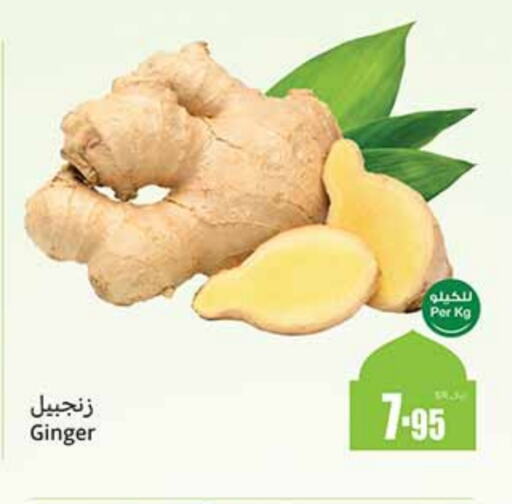 Ginger available at Othaim Markets in KSA, Saudi Arabia, Saudi - Unayzah