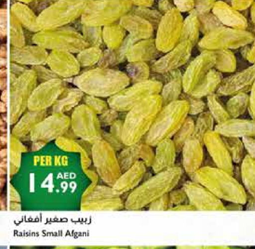 available at إسطنبول سوبرماركت in الإمارات العربية المتحدة , الامارات - دبي