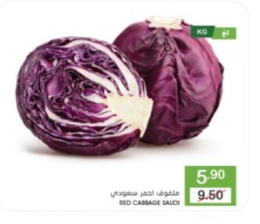 Cabbage from Saudi Arabia available at Mazaya in KSA, Saudi Arabia, Saudi - Dammam