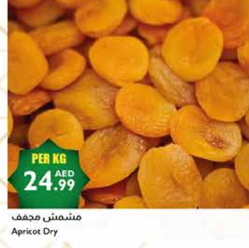 Apricot available at إسطنبول سوبرماركت in الإمارات العربية المتحدة , الامارات - دبي