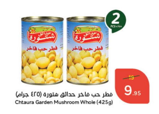 Mushroom available at هايبر بنده in مملكة العربية السعودية, السعودية, سعودية - حفر الباطن