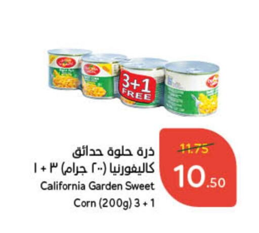 CALIFORNIA GARDEN available at Hyper Panda in KSA, Saudi Arabia, Saudi - Al Majmaah