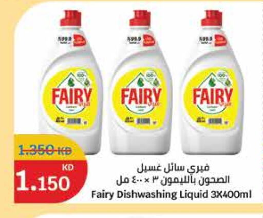 FAIRY available at City Hypermarket in Kuwait - Kuwait City