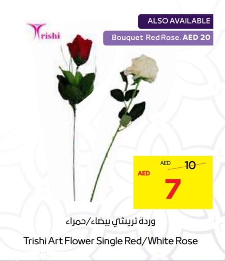 available at  جمعية أبوظبي التعاونية in الإمارات العربية المتحدة , الامارات - أبو ظبي