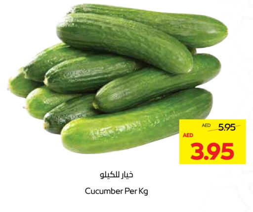 Cucumber available at Abu Dhabi COOP in UAE - Abu Dhabi