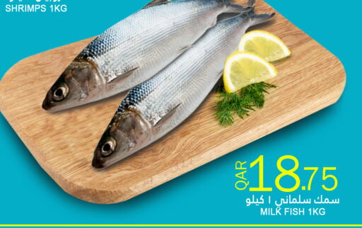 available at قصر الأغذية هايبرماركت in قطر - الدوحة