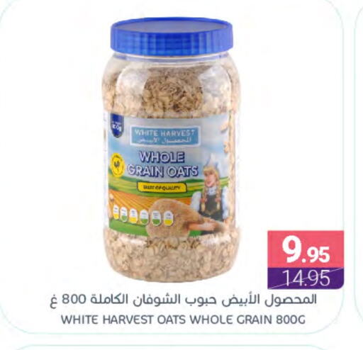 Oats available at Muntazah Markets in KSA, Saudi Arabia, Saudi - Dammam