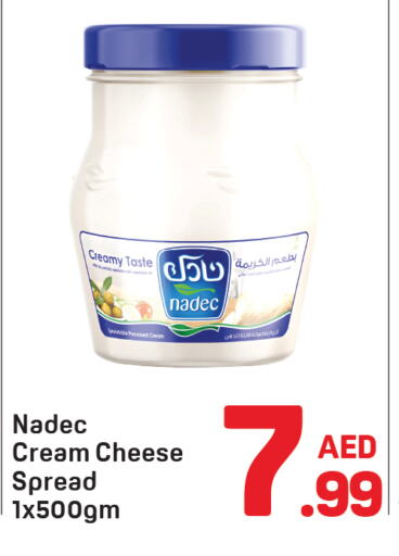 NADEC Cream Cheese available at Day to Day Department Store in UAE - Dubai