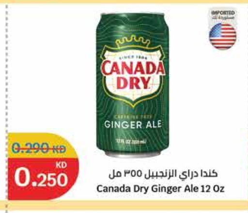 Ginger available at سيتي هايبرماركت in الكويت - محافظة الجهراء