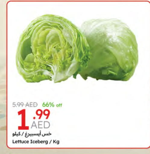 Lettuce available at جمعية الامارات التعاونية in الإمارات العربية المتحدة , الامارات - دبي