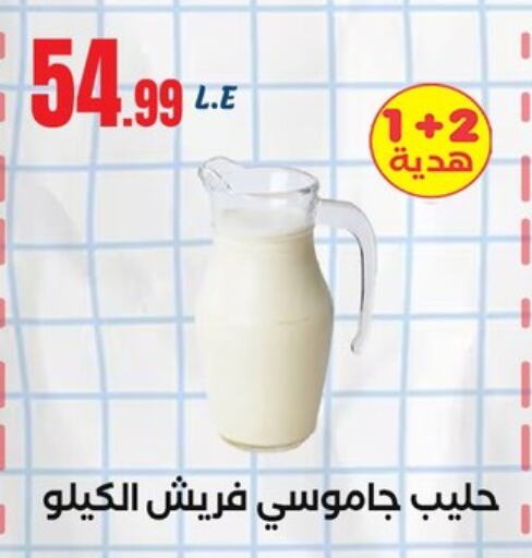 available at المحلاوي ستورز in Egypt - القاهرة