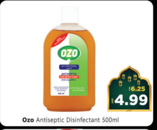 Disinfectant available at Al Madina Hypermarket in UAE - Abu Dhabi