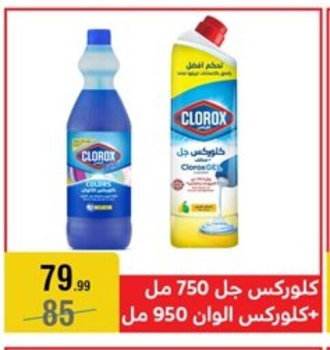 CLOROX General Cleaner available at Al Morshedy  in Egypt - Cairo