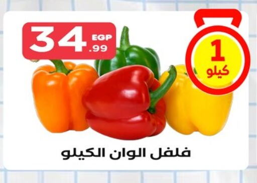 Chilli / Capsicum available at El Mahlawy Stores in Egypt - Cairo